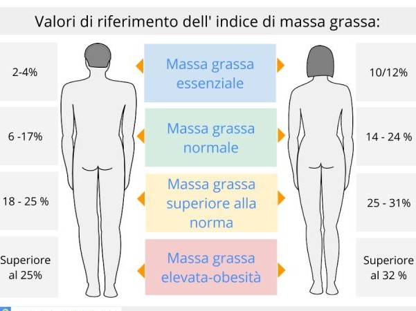 massa grassa massa muscolare peso massa grassa massa muscolare peso